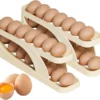 Egg Organizer Automatic Scrolling Egg Rack, Double Layer Egg Storage Tray (Random Colors)