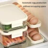 Egg Organizer Automatic Scrolling Egg Rack, Double Layer Egg Storage Tray (Random Colors)