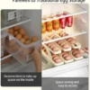 Egg Organizer Automatic Scrolling Egg Rack, Double Layer Egg Storage Tray (Random Colors)